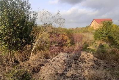 Teren de 5000 mp, în 1 Decembrie