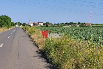 Teren industrial Cerneteaz - 1