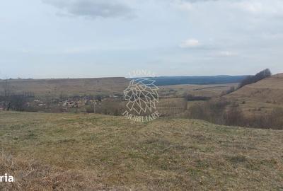 Casă cu 2 camere în Bociu - 4