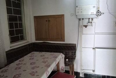 Casă cu 4 camere cu Teren 7400 Mp în Cicârlău - 12
