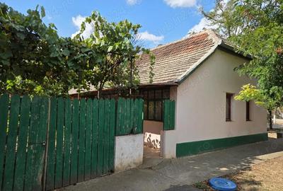 Casă cu 2 camere în Tomnatic - 5