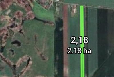 Spațiu comercial, în Carani - 2