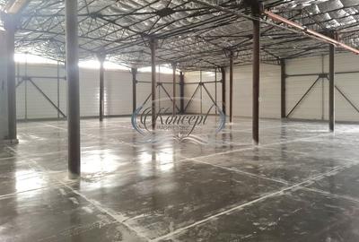 Hala de inchiriat ideala pentru productie sau logistica, in zona Calea Baciului - 3