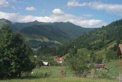 Teren de 1800 mp, în Central - 3