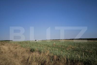 Teren 30.350 mp (600 mp intravilan) ideal investi?ie, C - 3