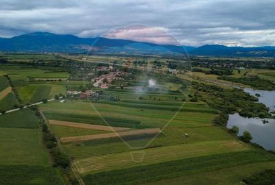 Teren superb Unciuc / jud.Hunedoara - 9