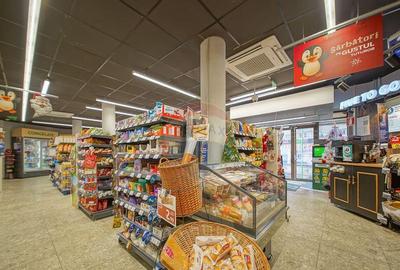 Spațiu comercial, de 248 mp, în Scriitorilor - 6