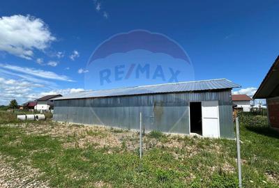 Casa 90m2 cu hala 120 m2 si 8 ari de teren de vanzare in ... - 11