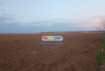 Teren de 3544 mp, în Tunari - 6