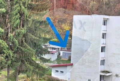 Apartament 3 camere strada Mihai Viteazu Sighisoara - 19