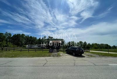 Vanzare teren *oportunitate investi?ie* situat in Carbune?ti-Sat, la DN 67B - 3