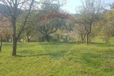 Casa si teren 1.6 ha de vanzare, in Rona de Jos - 1