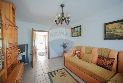 Casa si teren de 1397 mp de vanzare in Ineu, la 18 km de Oradea - 17