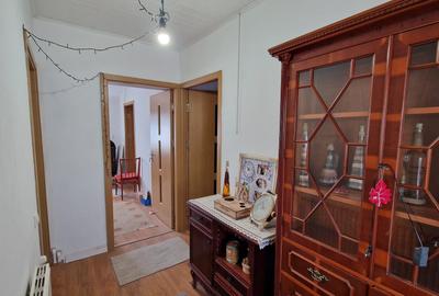 Casă cu 2 camere cu Teren 380 Mp în Valea Roșie - 3