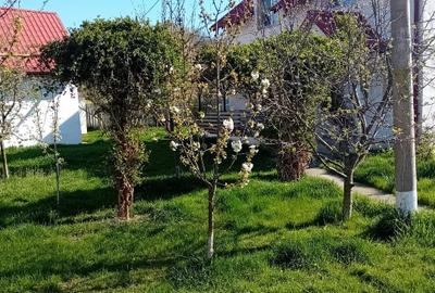 Casă individuală cu 5 camere cu Teren 1280 Mp în Central - 6