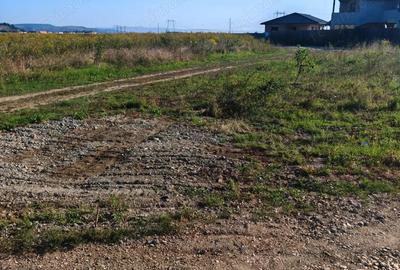 Teren Intravilan de vanzare - 4