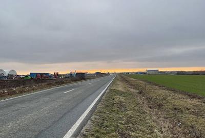 Teren de 9500 mp, în Remetea Mare - 7