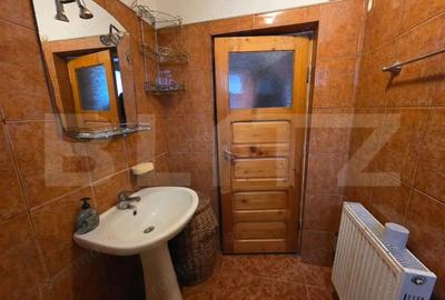 Casa cu teren generos ?i balta de pescuit Gae?ti - 4