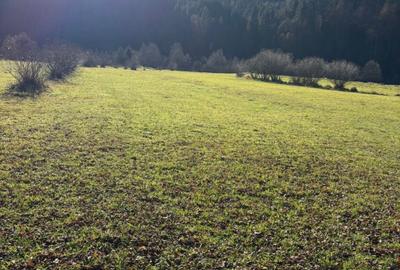 Teren intravilan - 6