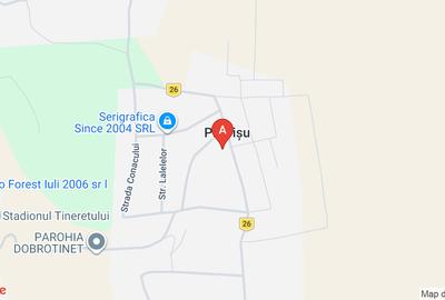 Teren Construcții intravilan de 2000 mp, în Pietrișu - 1