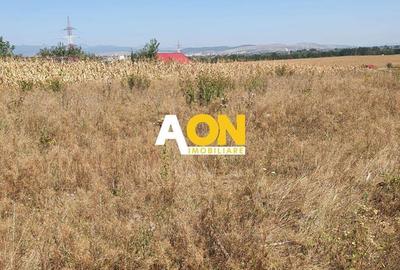 Oportunitate investitie. Oarda de Jos, 16 parcele de 490 mp