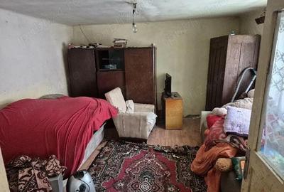 Casă cu 4 camere cu Teren 1163 Mp în Iablanița - 3