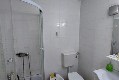 Mircea Cel Batran – Vila 36 Camere – Teren Generos - 14