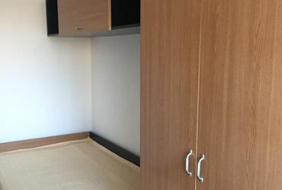 Apartament 3 camere aproape de Palas Mall - 8