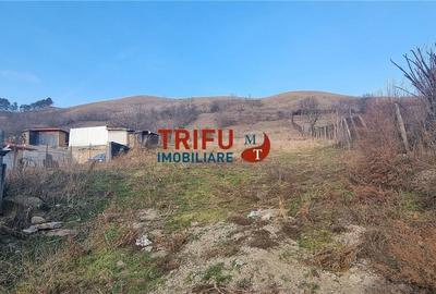 Casa in Paclisa cu Proiect de Extindere - 10