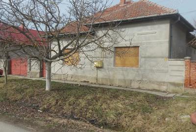 Casă cu 3 camere cu Teren 1741 Mp în Central - 3