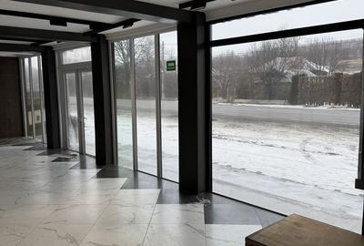 Spațiu comercial, de 120 mp, în Drăgușeni - 2