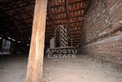 Casă cu 4 camere cu Teren 5000 Mp în Tisa