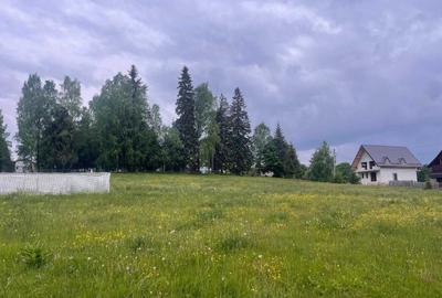 Teren de 1000 mp, în Beliș - 3