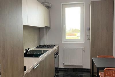 Apartament cu 2 camere, mobilat în Braytim