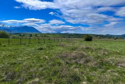 Teren Bran Zarnesti 3 km Castelul Bran 25 km Brasov Teren Bran Zarnesti 3 km Castelul Bran 25 km Brasov - 11