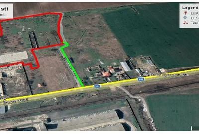 De Vanzare Teren 3.2Ha - Budesti, Calarasi De Vanzare Teren 3.2Ha - Budesti, Calarasi - 2
