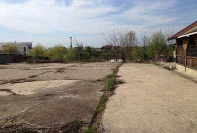 Vanzare teren Snagov Vladiceasca - 6