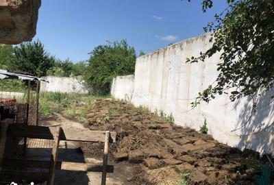 Teren de 8160 mp, în Rădoiești - 3