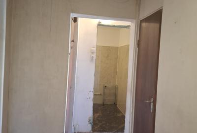 2Camere Patelimon Morarilor Parcul Florilor - 8