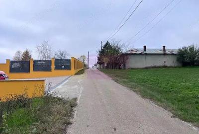 Teren de 5000 mp, în Comana - 4