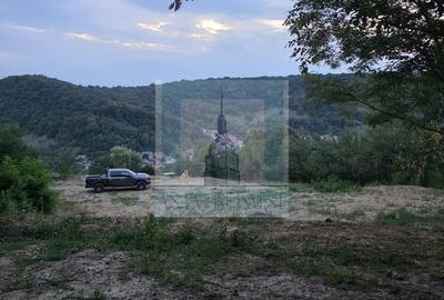 Spațiu comercial, în Angofa