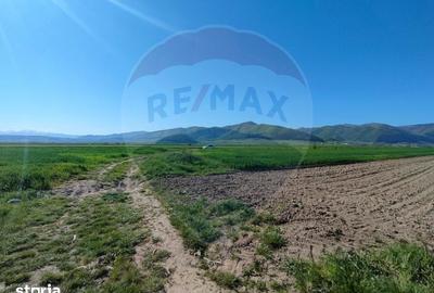 Teren de 1724 mp, în Gura Râului - 6