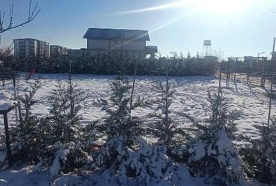 Teren la MARE, litoral, Steaua de Mare, Agigea, 400mp, PUZ, oportunitate, 29500E - 6