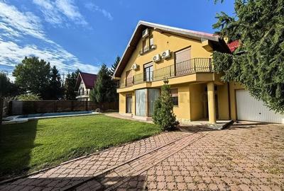 Vilă individuală cu piscină, Iancu Nicolae - 3