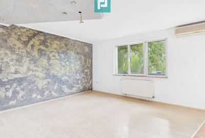 Vilă cu 5 camere pentru investiții în Dumbrăvița - 25