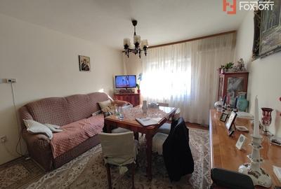 Apartament cu 3 camere de vanzare in Timisoara, zona Dambovita - 1
