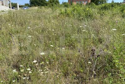 Teren intravilan in Livada Meses cu toate utilitatile - 3