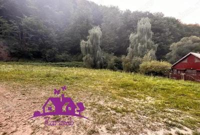 Teren valea Bratcutei - 2