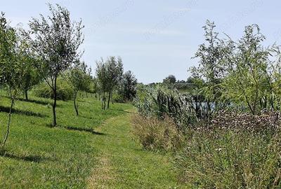 Balta de Pescuit & Cabana din Busteni Refugiu de Vis langa Oradea - 10