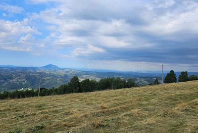 Teren în Poiana Mărului - 4